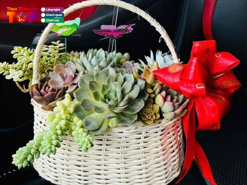 Nha-vuon-xuong-rong-hue-huetoplist