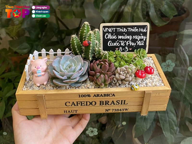 Tiem-cay-mam-huetoplist