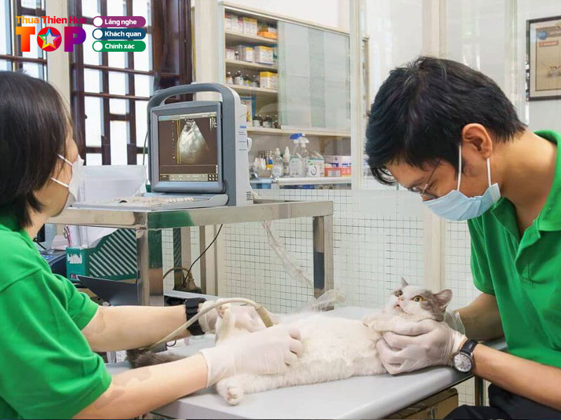 Mot-so-tieu-chi-khi-lua-chon-phong-kham-thu-y-huetoplist