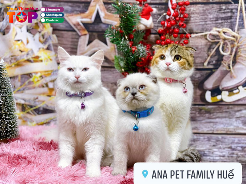 Ana-pet-family-huetoplist