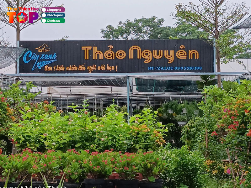 Cay-xanh-thao-nguyen-huetoplist