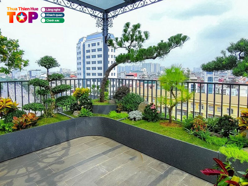 Cong-ty-cay-xanh-huong-loc-huetoplist