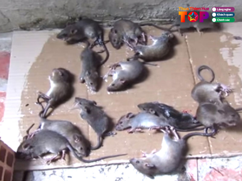 Cong-ty-tan-nguyen-huetoplist