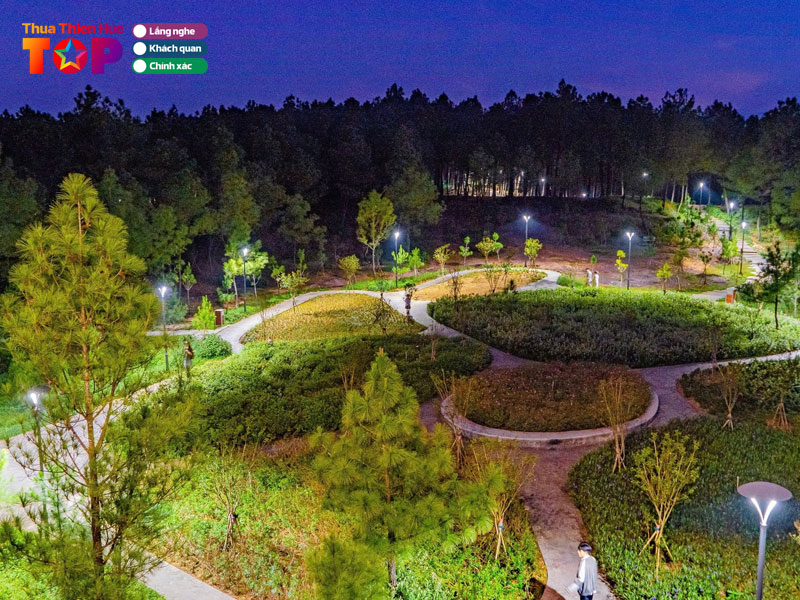 Doi-vong-canh-vao-mua-hoa-no-huetoplist