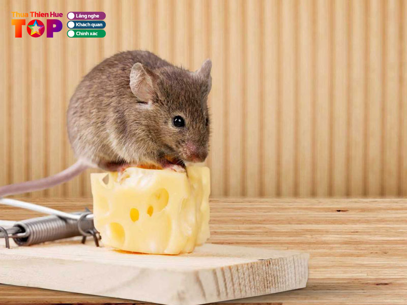 Don-vi-diet-con-trung-trung-da-thanh-huetoplist