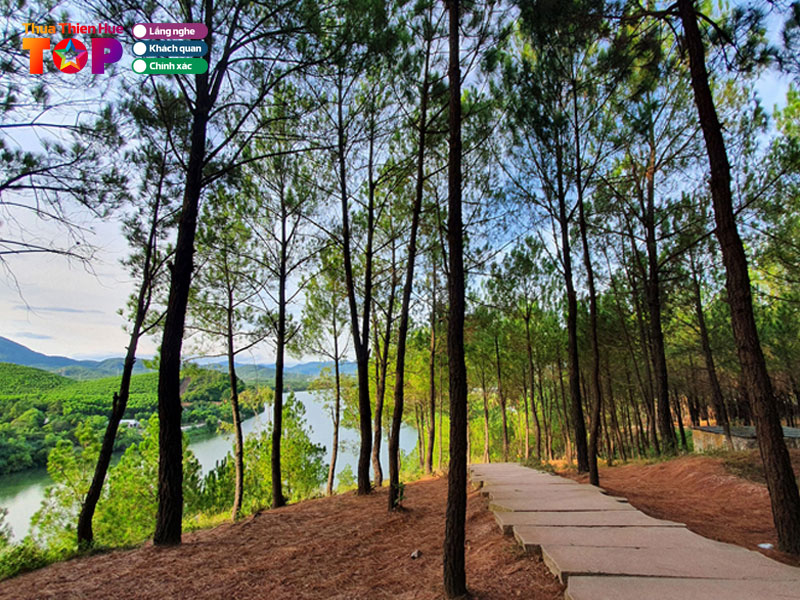 Gioi-thieu-doi-vong-canh-huetoplist