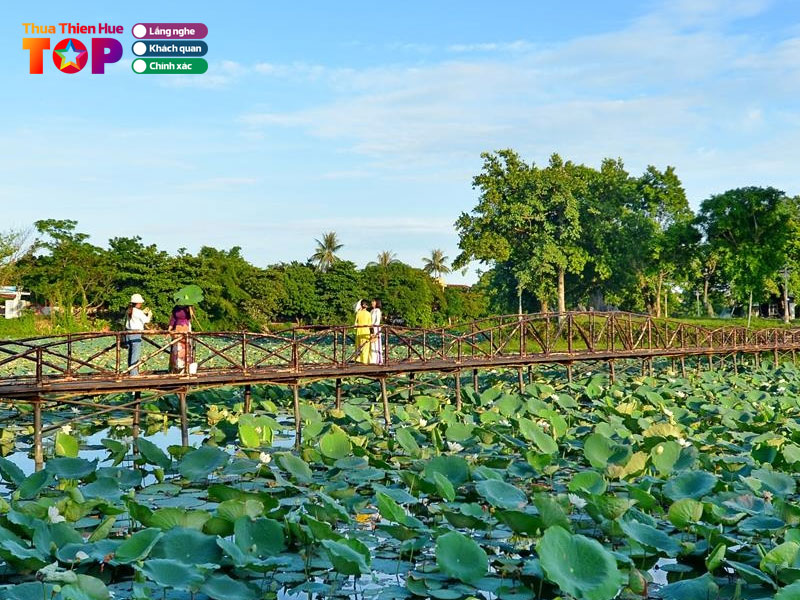 Gioi-thieu-ho-tinh-tam-huetoplist