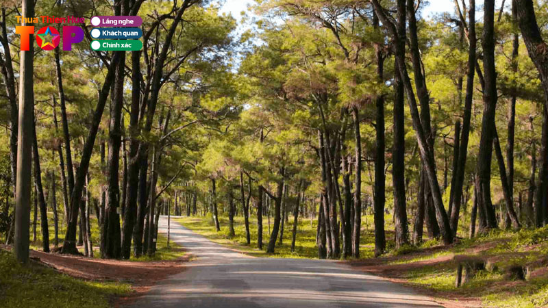 Kham-pha-doi-thien-an-hue-ve-dep-hoang-so-va-yen-binh-huetoplist