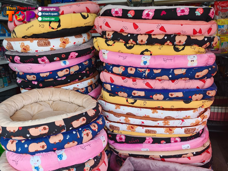 Pet-shop-binh-tran-huetoplist