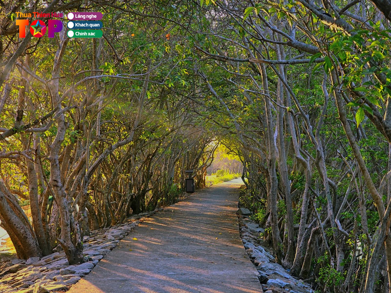 Rung-ngap-man-ru-cha-huetoplist