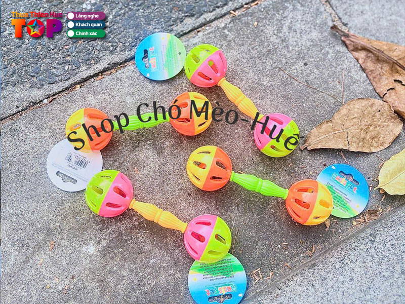 Shop-cho-meo-hue-huetoplist