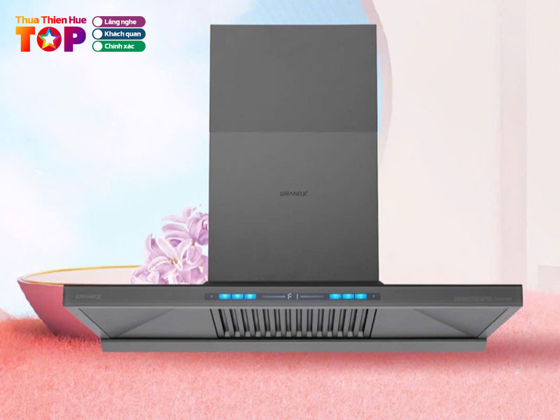 Sieu-thi-dien-may-hong-loi-huetoplist