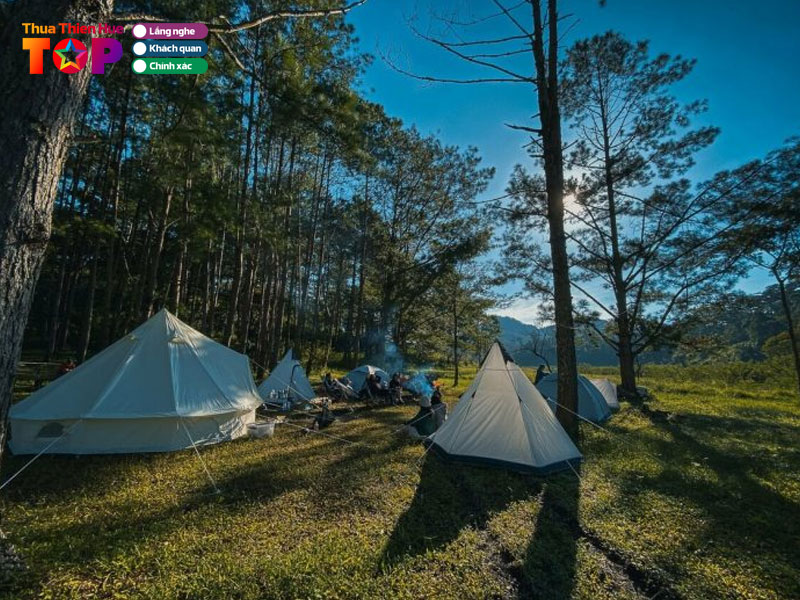 To-chuc-da-ngoai-picnic-giua-rung-thong-huetoplist