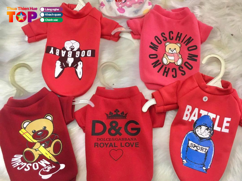 Tom-pet-grooming-huetoplist