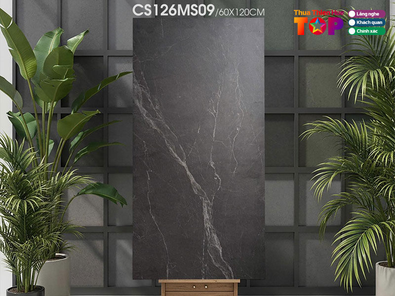 Showroom-thanh-dat-2-huetoplist