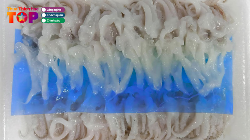 Linh-vuc-hoat-dong-chinh-cua-fideco-huetoplist