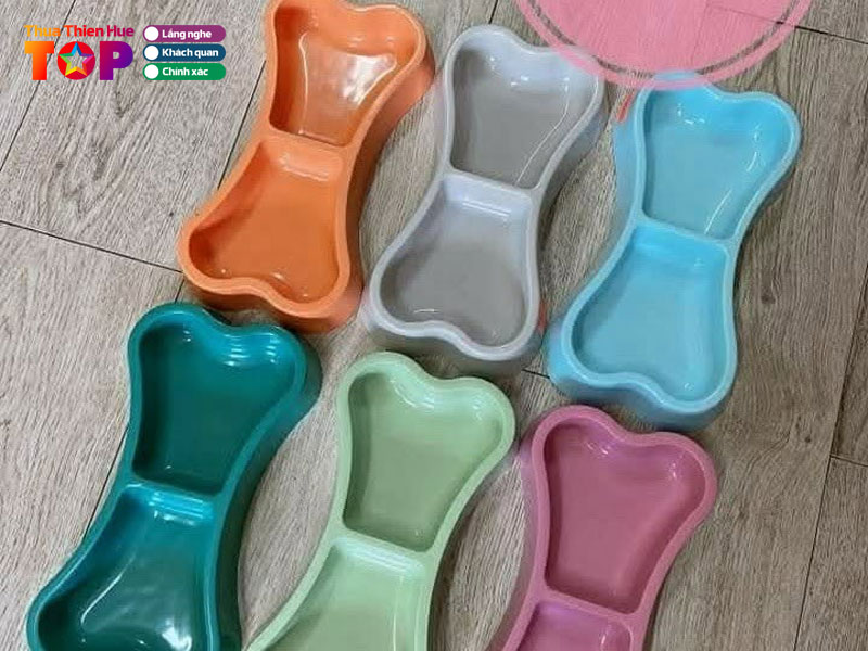 Sandy-petshop-hue-huetoplist