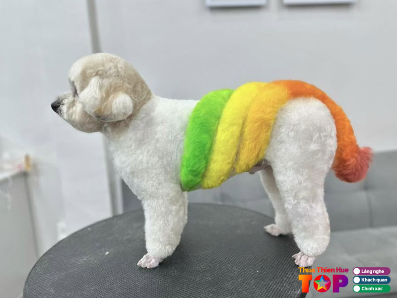 Bui-hong-linh-grooming-huetoplist